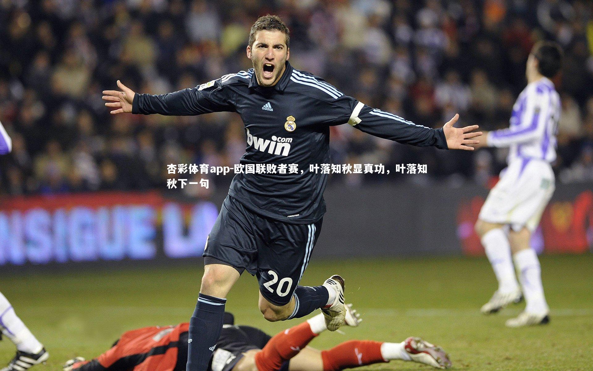 欧国联败者赛,叶落知秋显真功,叶落知秋下一句